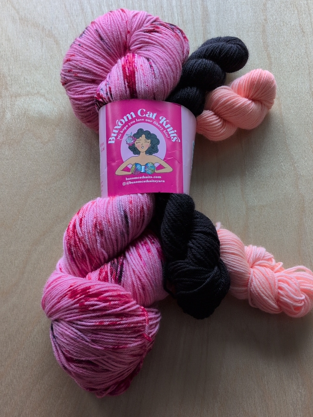 Buxom Cat Knits Hand-Dyed  Sock Yarn - 3 Skeins Dana's Destash!